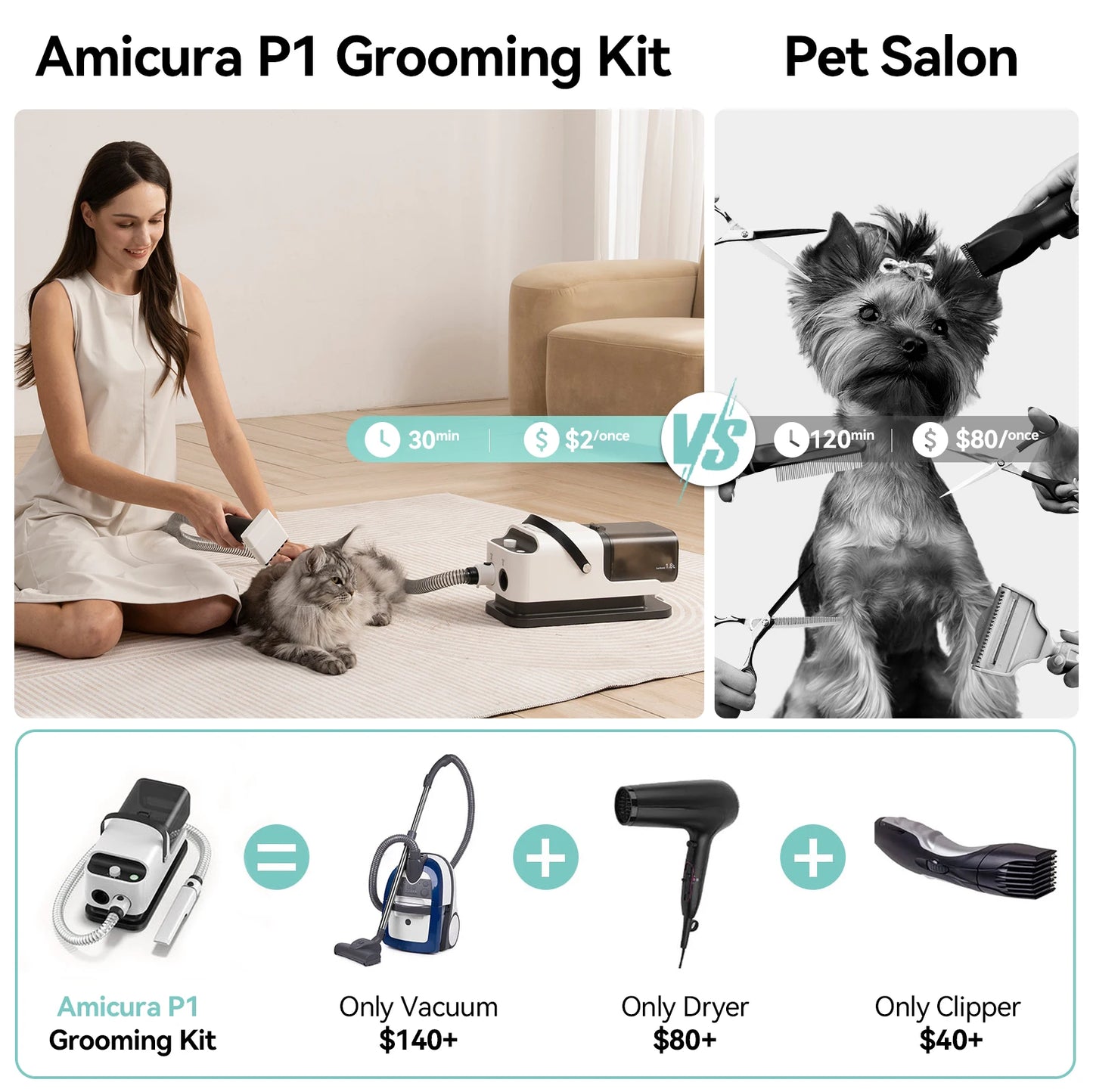 P1 Vacuum Cleaner and Pet Grooming Kit with Hair Dryer