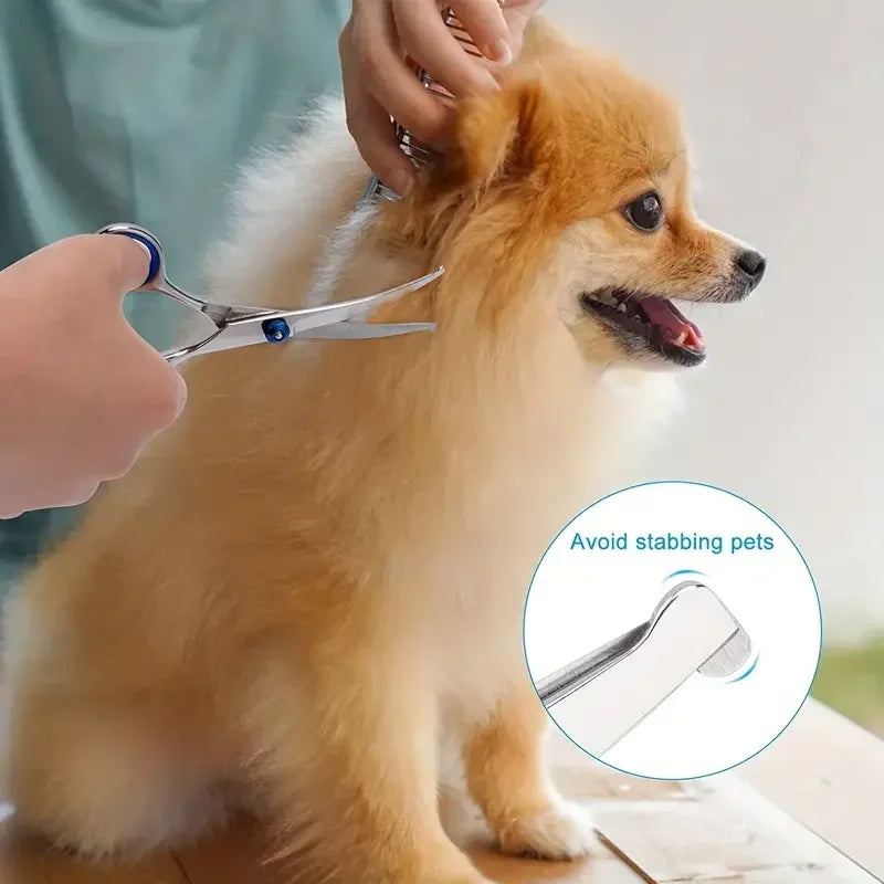 Pet Safe Stainless Steel Grooming Scissors for Dogs