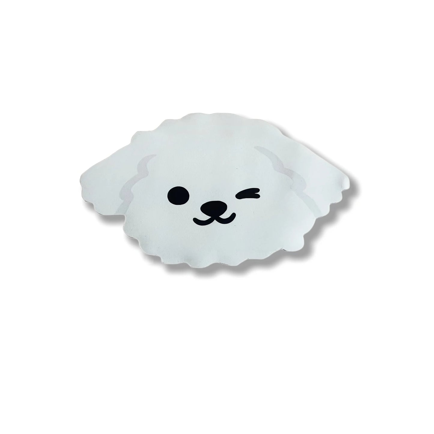 Diatomaceous Earth Pet Mat Water Absorbent Non Slip Kennel Mat