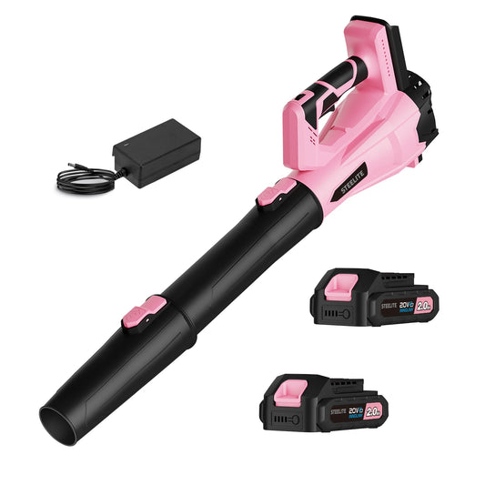 Deli 21V Cordless Leaf Blower With 2x2.0Ah Batteries And Charger