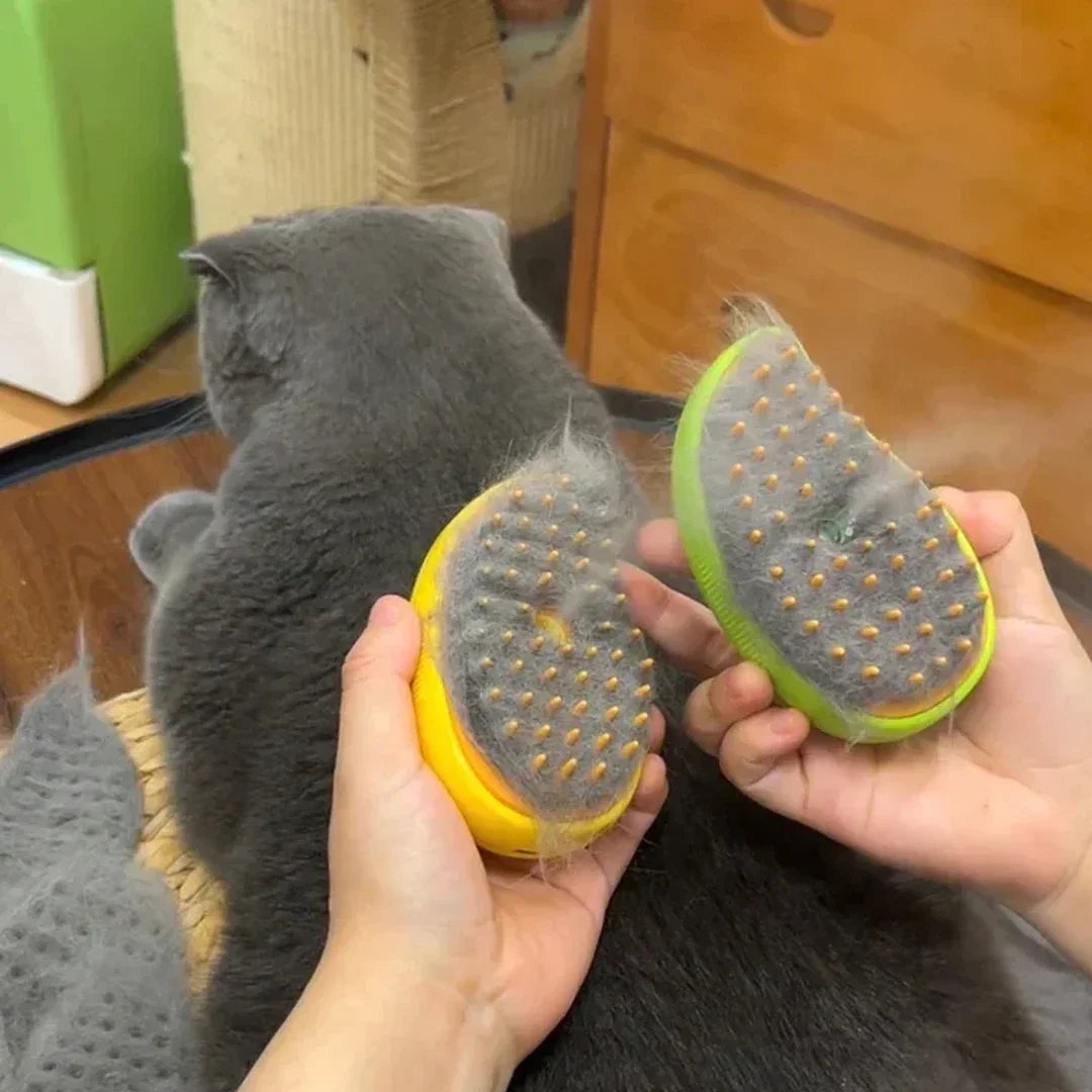 Cat And Dog Steam Brush Grooming Tool With Massage Comb