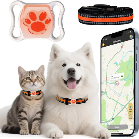 Pet GPS Tracker For Dogs And Cats No Monthly Fee Real Time Tracking Waterproof