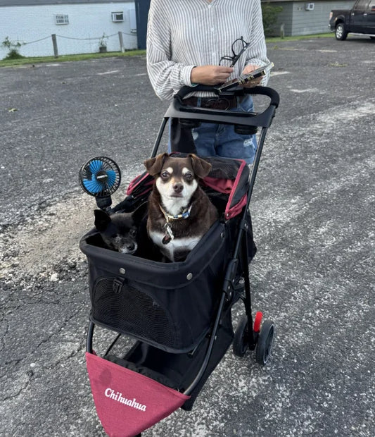 CHIHUAHUA Portable Foldable Pet Stroller for Dogs and Cats