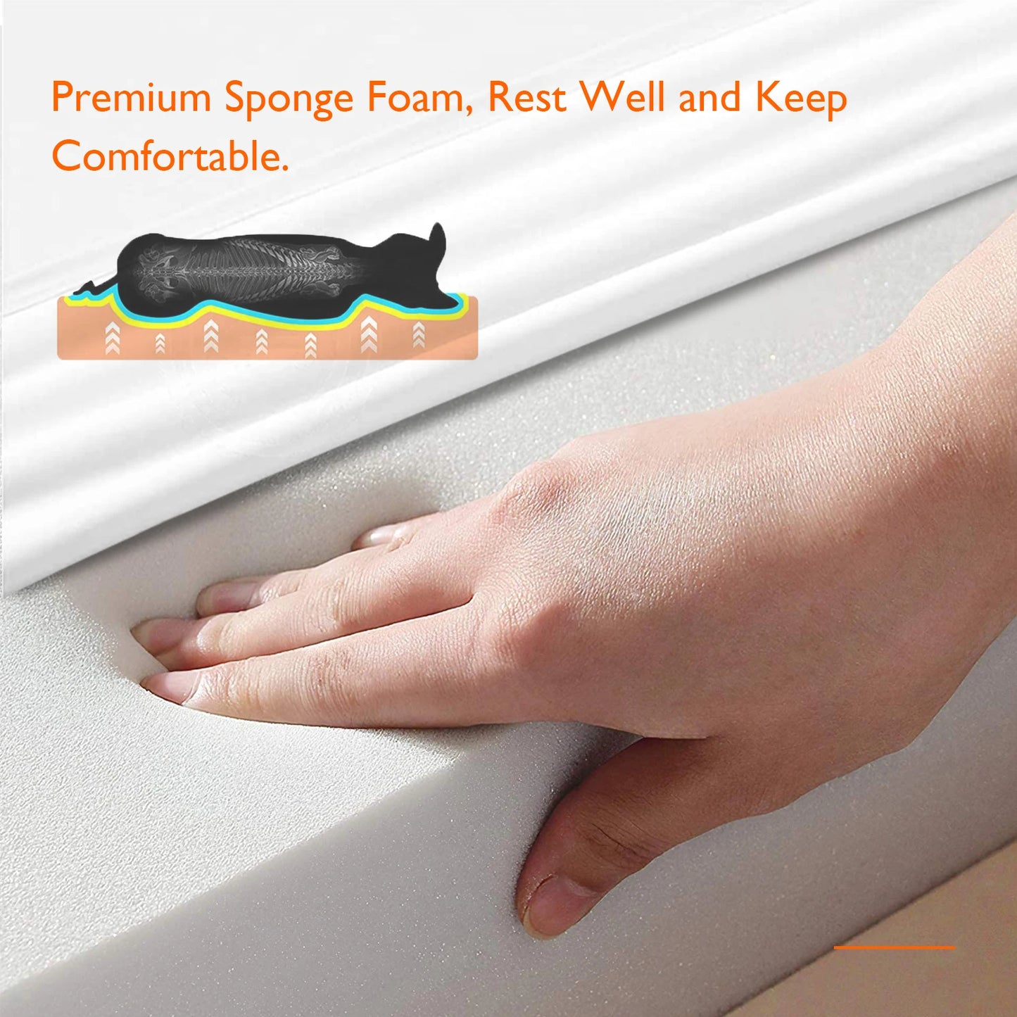 BINGOPAW Dog Bed With Removable Washable Cover Anti Allergy Waterproof