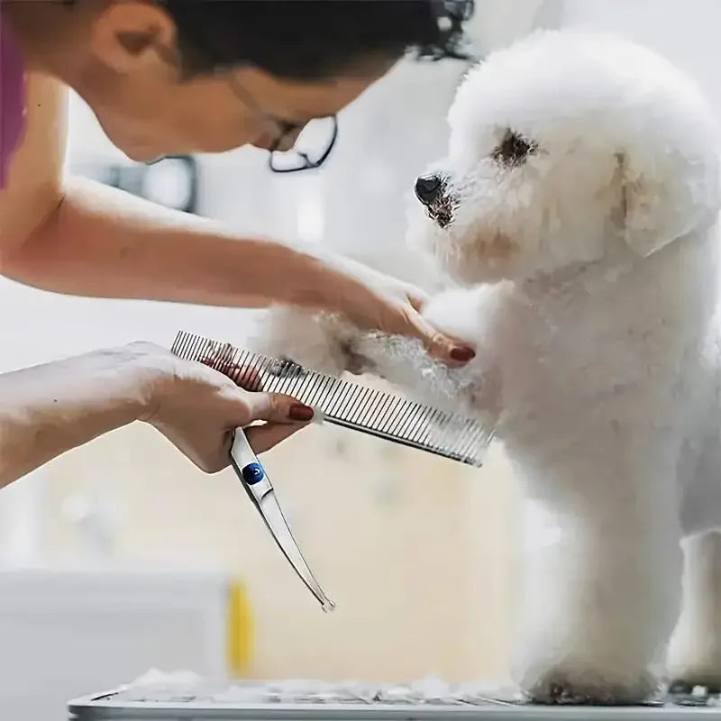 Pet Safe Stainless Steel Grooming Scissors for Dogs