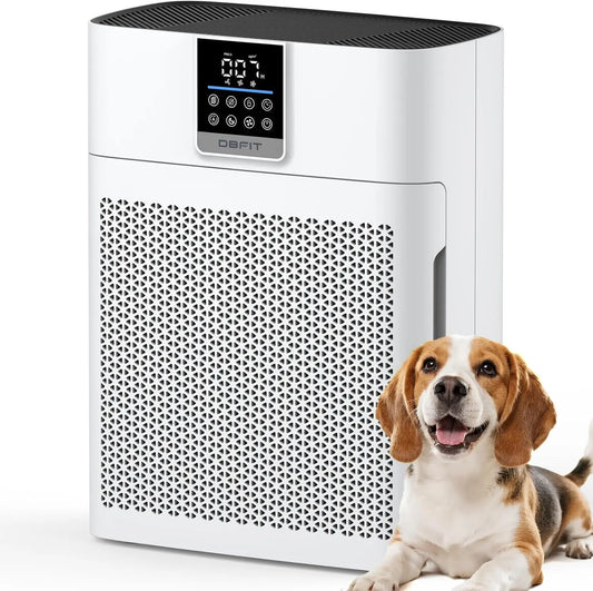 Large Room Air Purifier With HEPA Filter And PM2.5 Sensor