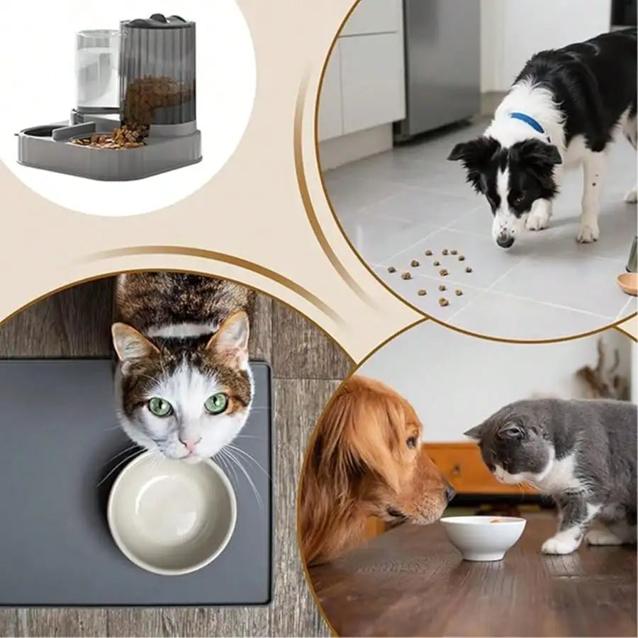 2-in-1 Automatic Dog Bowl And Cat Feeder With 2500ml Capacity