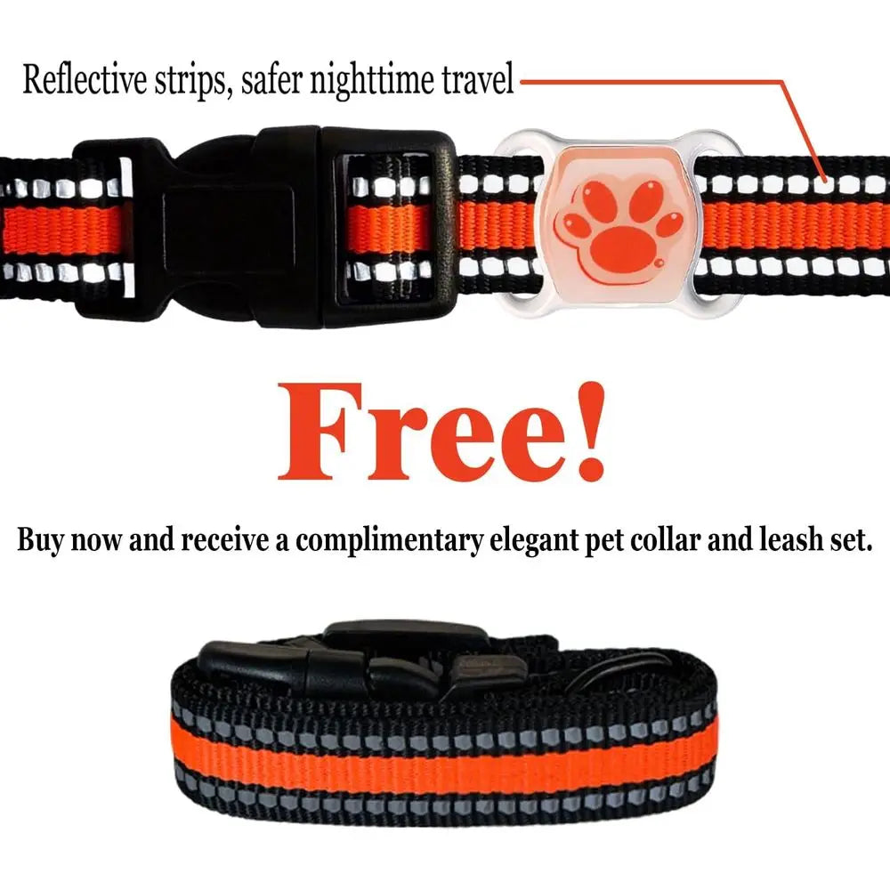 Pet GPS Tracker For Dogs And Cats No Monthly Fee Real Time Tracking Waterproof